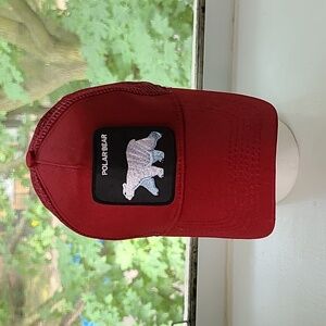 Polar bear Hat